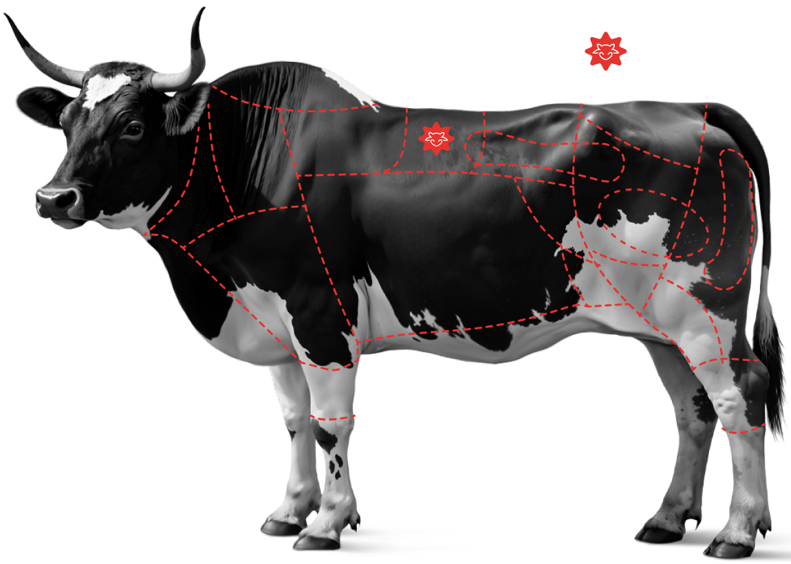Saiba mais sobre o&nbsp;<br /><strong>Fil&eacute; Costela Prime ''Ancho Prime''</strong>