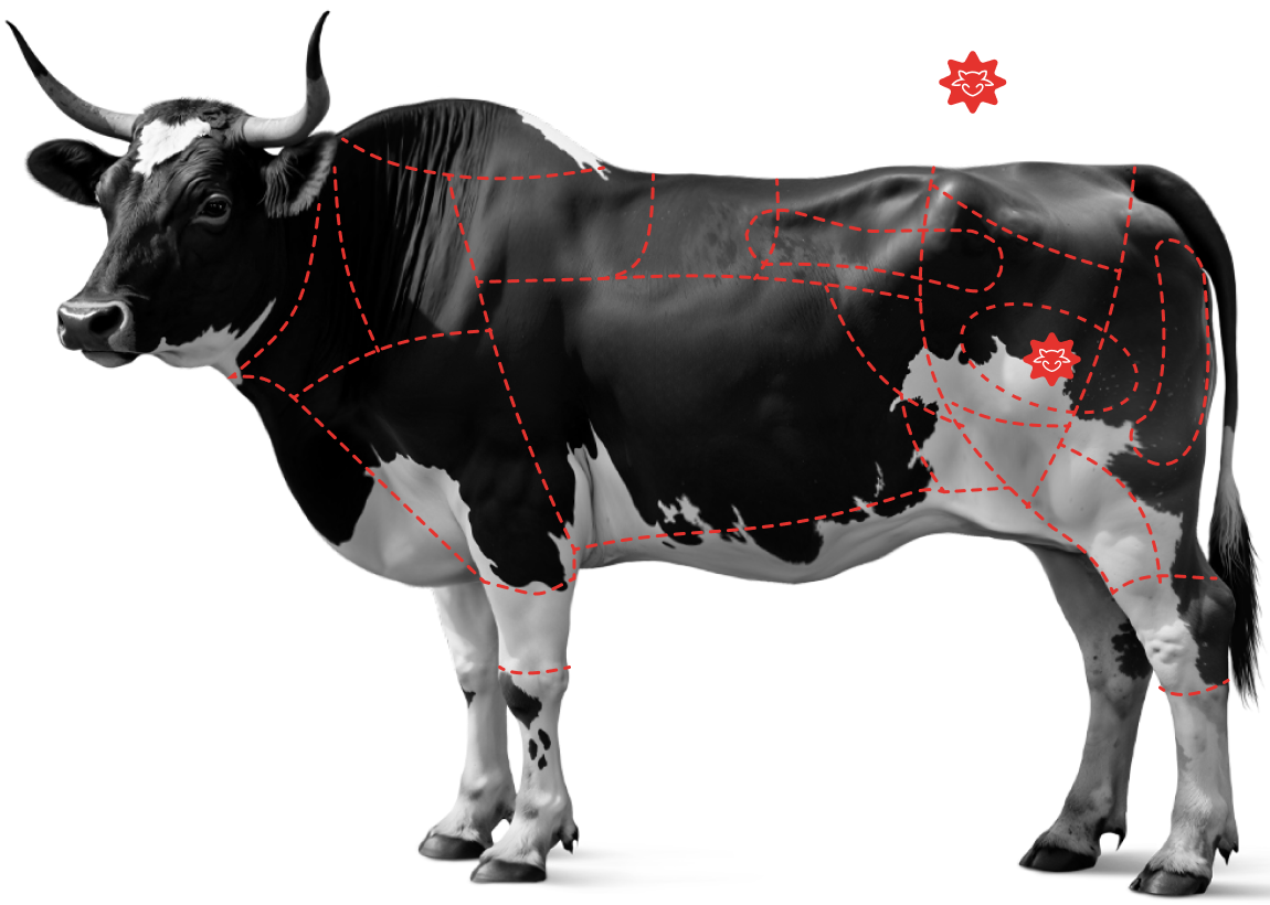 Saiba mais sobre o&nbsp;<br /><strong>Cox&atilde;o Mole</strong>