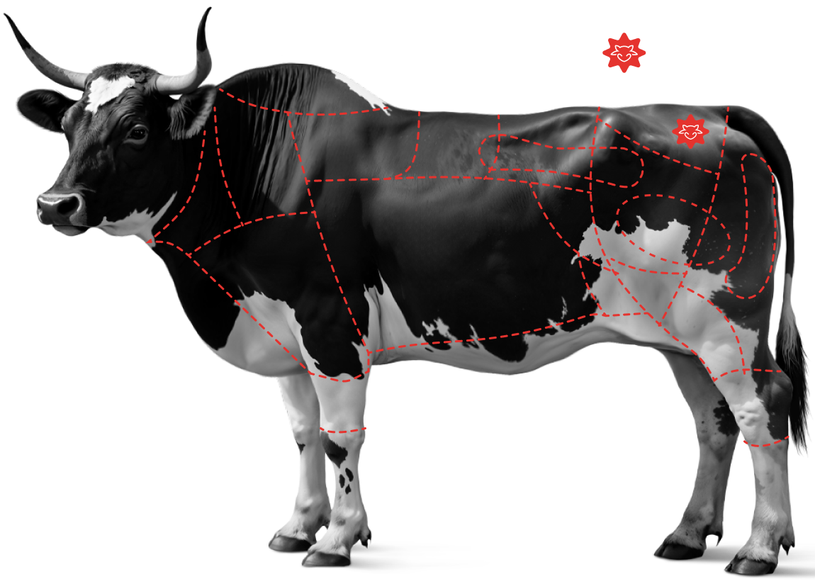 Saiba mais sobre a&nbsp;<br /><strong>Picanha Fatiada Black Beef</strong>
