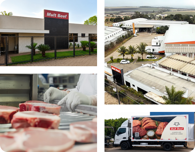 Industrializa&ccedil;&atilde;o e <strong>Portf&oacute;lio de Produtos</strong>