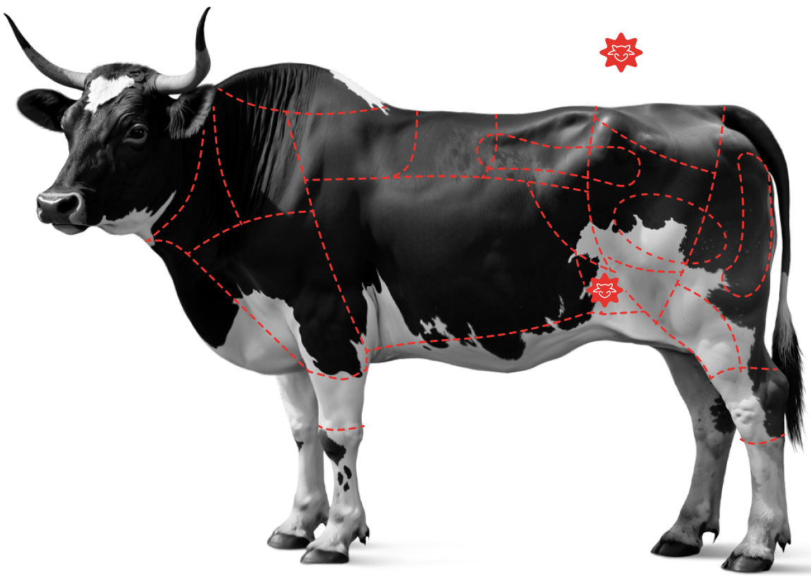 Saiba mais sobre o&nbsp;<br /><strong>Bife Vazio Pac&uacute;</strong>