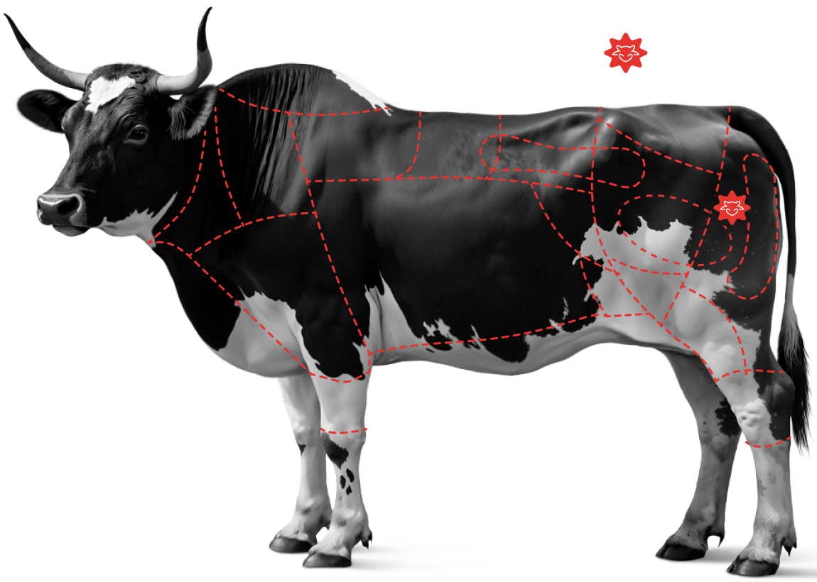 Saiba mais sobre o&nbsp;<br /><strong>Cox&atilde;o Duro Black&nbsp;</strong>