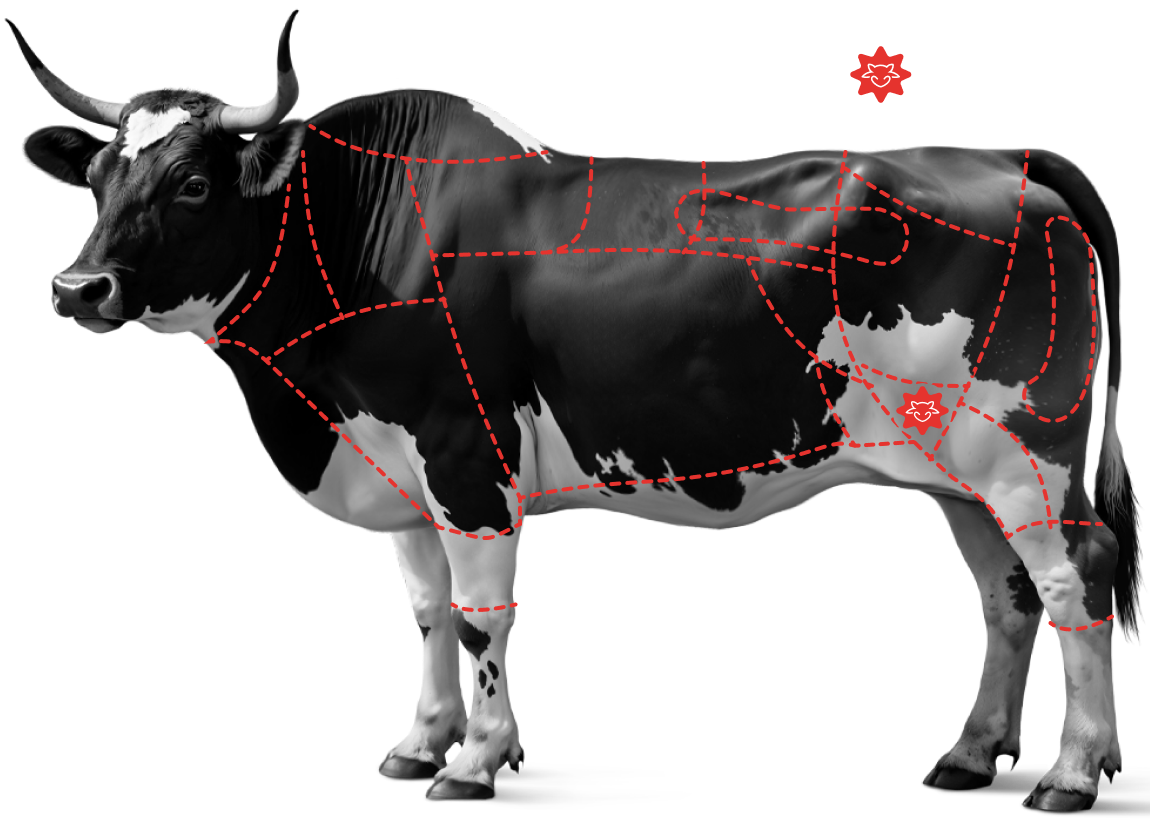 Saiba mais sobre o&nbsp;<br /><strong>Cox&atilde;o Duro</strong>